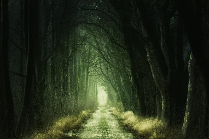 Mystery Trails